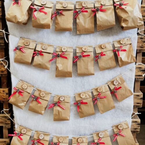 Sacchettini Calendario Avvento Bulbi Flora Import Olanda